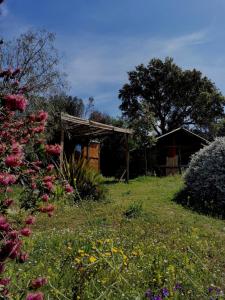 Chalets Le nid des crinieres vagabondes : photos des chambres