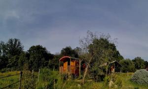 Chalets Le nid des crinieres vagabondes : photos des chambres