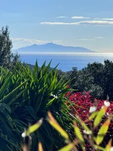 Gîte indépendant dans villa entre mer et maquis - Barrettali