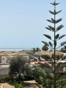 Apto dos dormitorios en Ayacosta