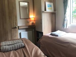 Badgers nestled in a cozy corner of the park