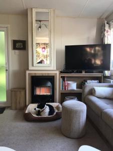 Badgers nestled in a cozy corner of the park