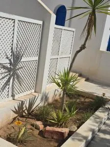 Appartements BAYA - Mezraya