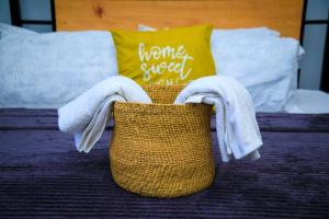 ManCave Urban Apartment