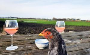 Landgoed De Rozenbottel