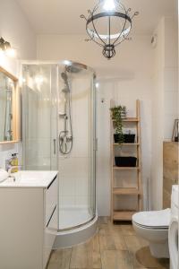 RentPlanet - Studio Kaszubska