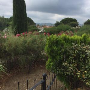 High Standing App , Sea front