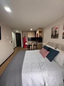 Paris en Santiago, un departamento de lujo