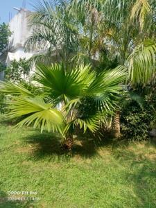 Lavanya Home