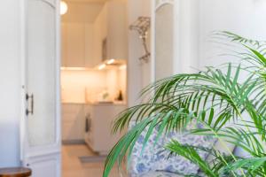 São Paulo Square-Historic Centre