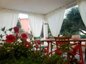 CASA VACANZE SARDEGNA in Gallura 1KM dal mare - Agrustos