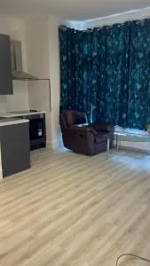 Great ground floor studio in ealing - 格林福德