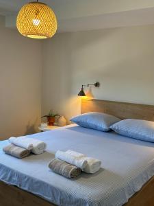 Studio Ljuba Cozy Modern Escape in Split