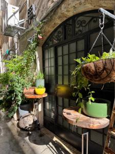 Jaffa Unique gallery on the sea and flea market