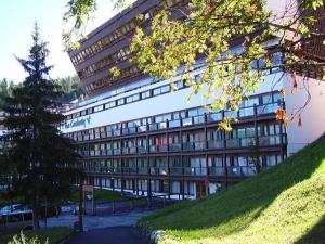 Appartement 2 pièces pour 6 à Arc 1600, proche piste, animaux admis - FR-1-411-337