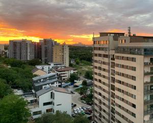 Homey Apartment Vacaresti