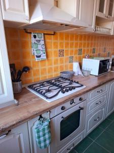 Homey Apartment Vacaresti