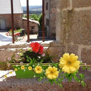 Maisons de vacances Gite La Maison d-Alphonse 7/8 personnes : photos des chambres