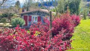 Country house with outdoor spa - Penafiel, Porto - Pinheiro