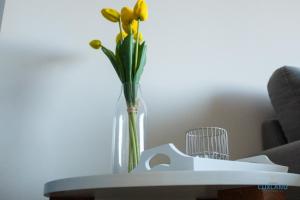 Haus Jan am Strand Wohnung 204