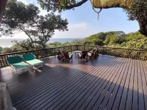 Bon-up-a-Tree log house with jacuzzi ocean views - Glenmore Beach