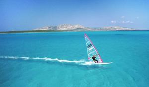 Guest Art in Gallura - Ixihome img26