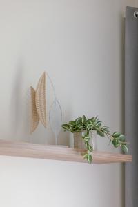 Apartment Relax with Parking Shellter Rogowo Renters Prestige