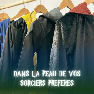 Appartements La Taniere Eternelle - Repere de sorciers a Boulogne Sur Mer : photos des chambres