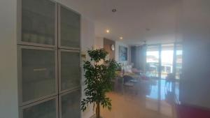 Cayey 2-bedroom Beach Apartment