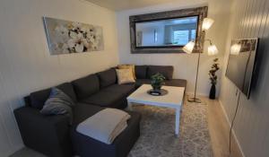 Perfect apartment for whale safari at Skjervøy!