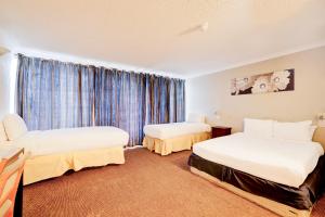 Standard Family Room room in OYO The Chiltern Hotel