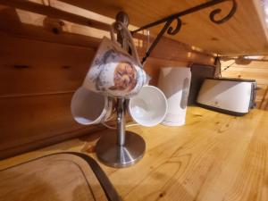 The Cabin & hot tub at Ashleigh House