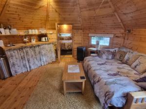 The Cabin & hot tub at Ashleigh House