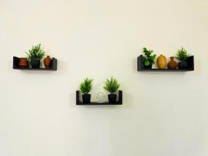 Cosy Garden Grove