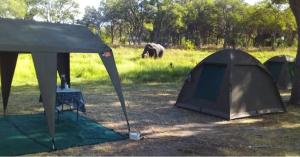 Khwai Mokoro Safaris and Campsites