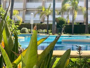 THE BEACH HOUSE PLAYA DEL ARENAL Jávea - Pool and Garden Steps from the beach
