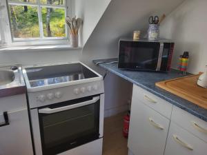 Appartements Studios Les Iris : photos des chambres