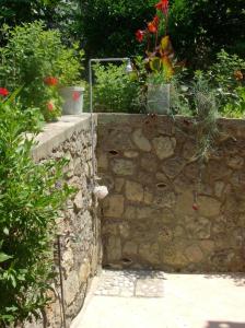 Tonia Apartments Kontogialos