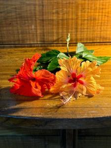 El Jardin de Playa Negra