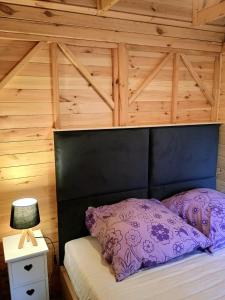 Domki na Kociewiu Pati