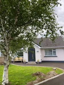 Modern Rural Idyl - Garvagh