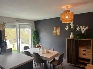 Flat near Strasbourg - 比什维莱尔