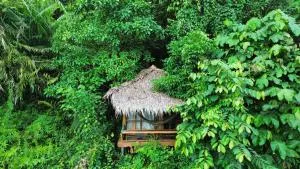 TheJungleGuide - Lodges & Treks - Kualagemoh