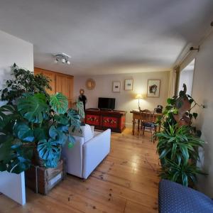 B&B / Chambres d'hotes La Renardiere : photos des chambres