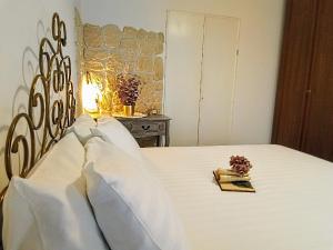 Al parco del Colosseo