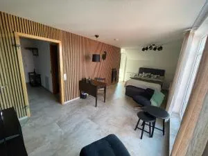 Studio für Geschäftsreisende - Bad Schussenried