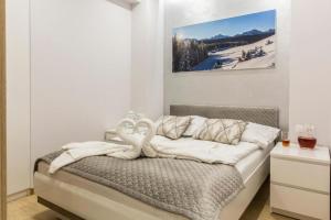 Prestige Apartament z widokiem na góry w Centrum