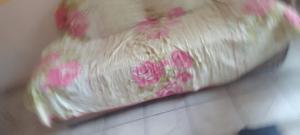 Lar YAMAGUCHI COP 30