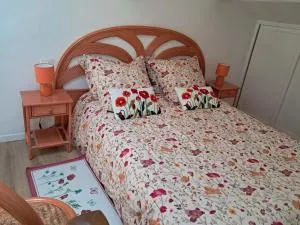 Les coquelicots. - Sénesse-de-Senabugue