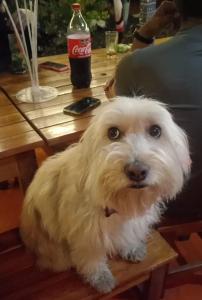 Casona Don Juan Hostel